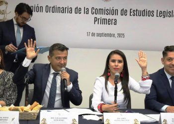 Aprueban Comisiones iniciativa de Raúl Morón para modernizar y  volver inclusivas bibliotecas públicas de México