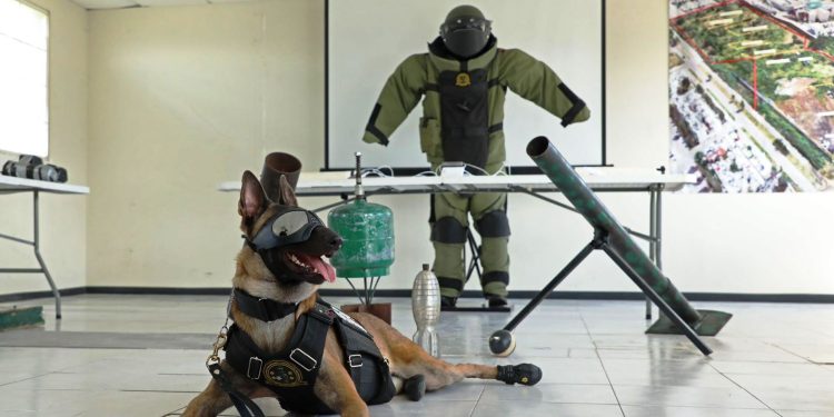 Binomios caninos de la Guardia Civil, aliados en el combate a la delincuencia: SSP