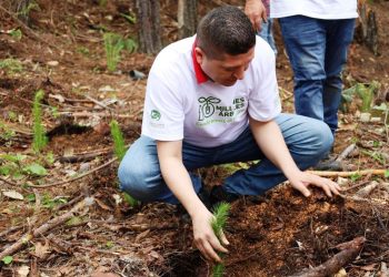 Invita Vicente Gómez a participar en jornada de reforestación