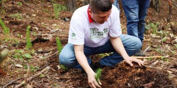 Invita Vicente Gómez a participar en jornada de reforestación