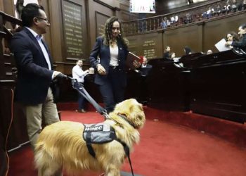 Congreso del Estado aprueba que personas con discapacidad se desplacen libremente con animales de asistencia