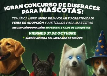 Invitan a la 4ª edición del Mascotafest: convivencia, adopción y causa animal