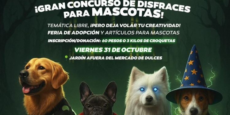 Invitan a la 4ª edición del Mascotafest: convivencia, adopción y causa animal
