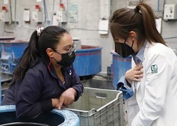 Promueve IMSS Michoacán la salud en los centros de trabajo mediante el programa ELSSA