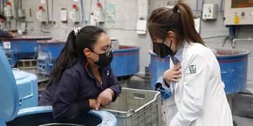 Promueve IMSS Michoacán la salud en los centros de trabajo mediante el programa ELSSA