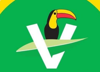 Condena PVEM envenenamiento de perros en Morelia