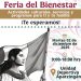 Apatzingán será sede de la Feria del Bienestar: cultura, servicios y programas para todas las familias.