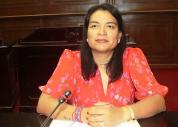 Erendira Isauro propone elevar a rango constitucional los apoyos para niñas, niños y mujeres con cáncer en Michoacán
