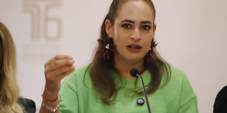 La protección de quienes defienden la tierra debe ser prioridad nacional: Sandra Arreola