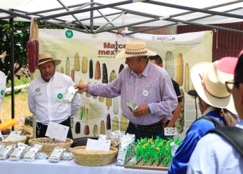 Agrosano ha beneficiado a más de 25 mil productores con técnicas agroecológicas: Sader