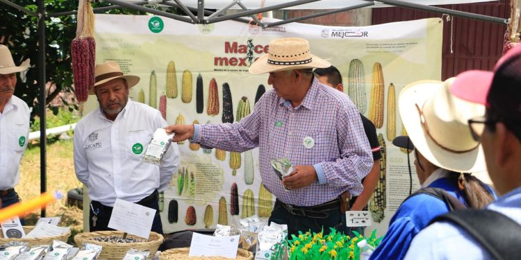 Agrosano ha beneficiado a más de 25 mil productores con técnicas agroecológicas: Sader