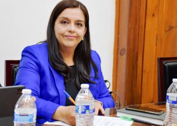 Llaman diputados del PAN a no detener trabajos legislativos por el Plan Michoacán