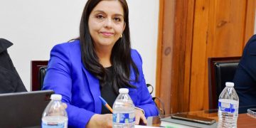 Llaman diputados del PAN a no detener trabajos legislativos por el Plan Michoacán