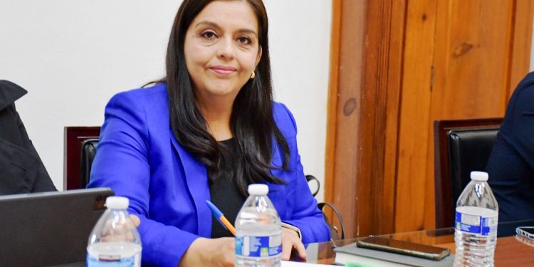 Llaman diputados del PAN a no detener trabajos legislativos por el Plan Michoacán