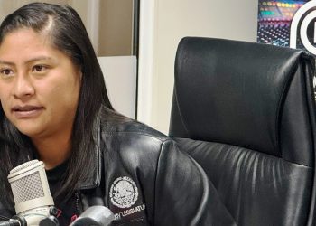 Senadora Reyna Celeste Ascencio Ortega llama a fortalecer el Plan Michoacán con participación ciudadana