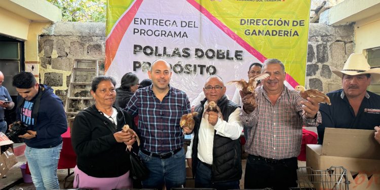 CONTINÚAN LOS PROGRAMAS SOCIALES EN TARÍMBARO: ENTREGAN POLLITAS DOBLE PROPÓSITO A FAMILIAS DEL MUNICIPIO