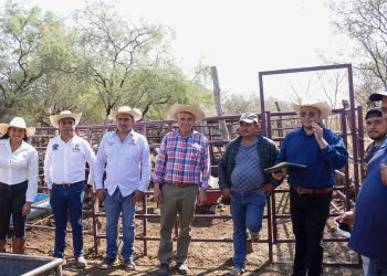 Productores ganaderos de Tierra Caliente instalan corrales metálicos: Sader