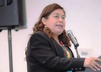 Belinda Iturbide propone ante el pleno  promover inclusión laboral de personas con discapacidad