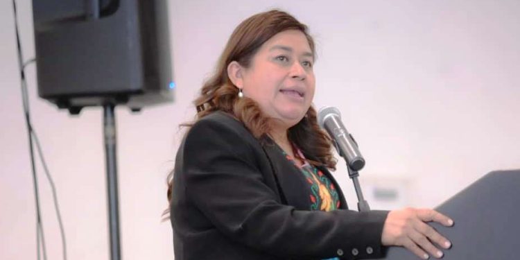 Belinda Iturbide propone ante el pleno  promover inclusión laboral de personas con discapacidad