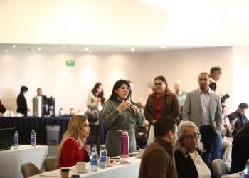 Vanhe Caratachea busca evitar la usurpación de candidaturas para mujeres
