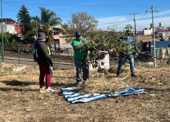 Gobierno de Morelia atiende área verde en Cumbres del Quinceo con jornada integral de mantenimiento