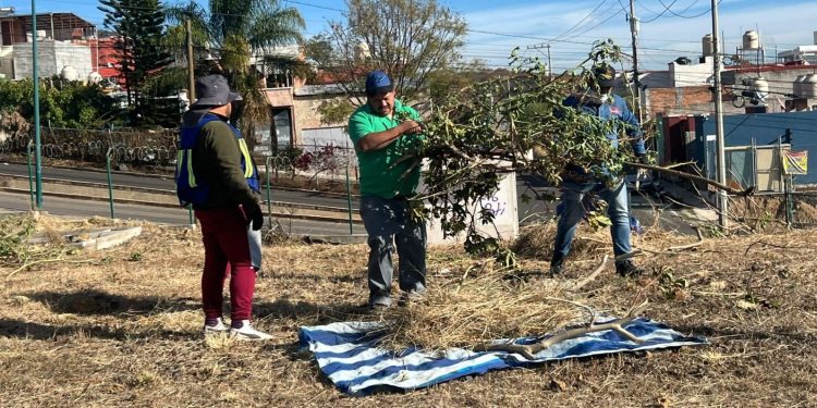 Gobierno de Morelia atiende área verde en Cumbres del Quinceo con jornada integral de mantenimiento