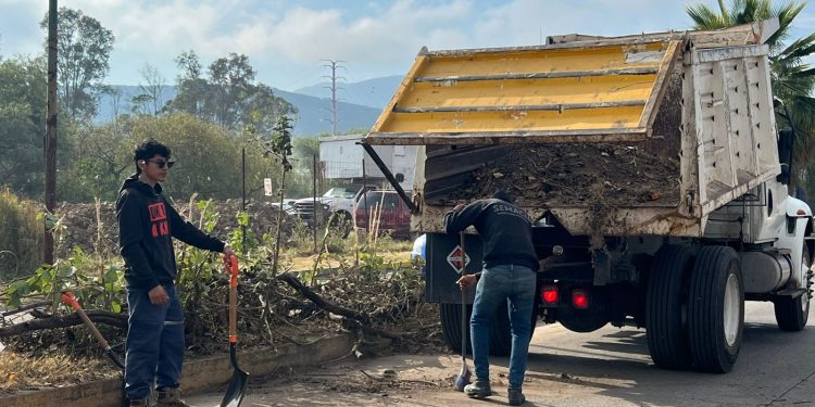 Encabeza Yankel Benítez jornada ciudadana de limpieza en La Aldea