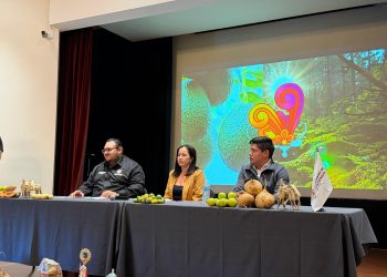 Santiago Acahuato: fe, tradición y corazón de Apatzingán