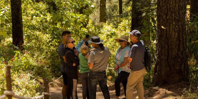 ¡Que no se te pase la temporada! Vive hoy la magia de la Mariposa Monarca: Sectur