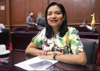 Eréndira Isauro propone regular propaganda digital electoral