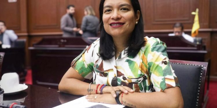 Eréndira Isauro propone regular propaganda digital electoral