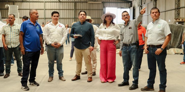 Fabiola Alanís visitó la zona de producción de arroz y mango en la tierra caliente