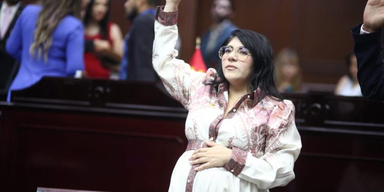 Vanhe Caratachea presenta iniciativa para proteger de violencia de género a madres jefas de familia