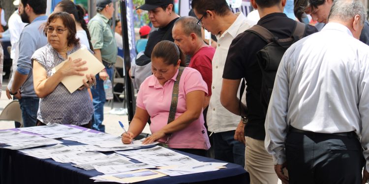 Sefeco consolida oportunidades de empleo en la 5ª Jornada de Oportunidad Laboral