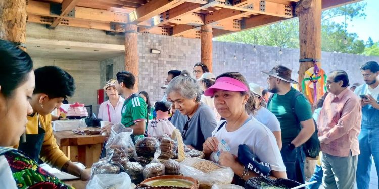 Michoacán conquistó Los Pinos con sus cocineras tradicionales