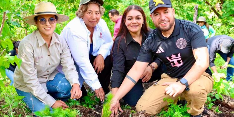 Se suma Reyes Galindo a acciones de reforestación en La Huacana