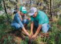 Dayana Pérez fortalece la campaña Reforestando Salvador Escalante junto a ejidatarios de Santa Rosa