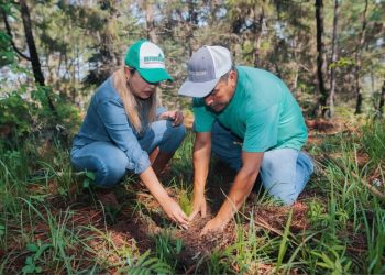 Dayana Pérez fortalece la campaña Reforestando Salvador Escalante junto a ejidatarios de Santa Rosa