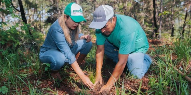 Dayana Pérez fortalece la campaña Reforestando Salvador Escalante junto a ejidatarios de Santa Rosa
