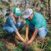 Dayana Pérez fortalece la campaña Reforestando Salvador Escalante junto a ejidatarios de Santa Rosa