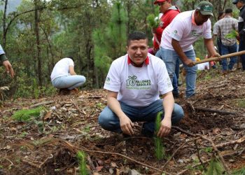 Fomentan el cuidado ambiental en el distrito  XIX