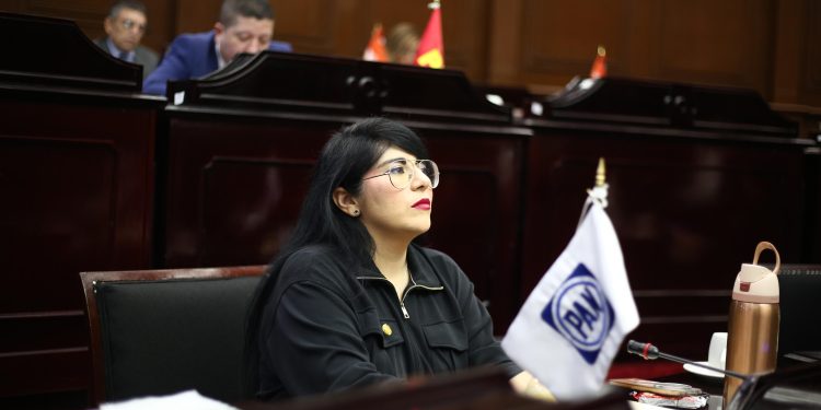 Vanhe Caratachea propone crear un registro de agresores sexuales de niñas, niños y adolescentes
