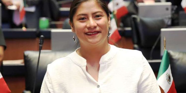 Celeste Ascencio llama a la autocrítica, la unidad y al fortalecimiento de los procesos de Morena