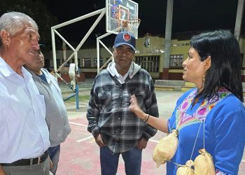 Consulta a pueblos indígenas y personas con discapacidad, paso pendiente para reformar la Ley de Educación
