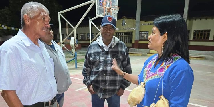 Consulta a pueblos indígenas y personas con discapacidad, paso pendiente para reformar la Ley de Educación