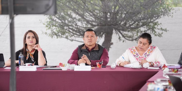 Gladyz Butanda y Torres Piña refuerzan ruta de organización territorial de Morena